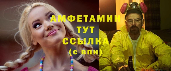 твердый Дмитров