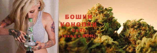 индика Дмитровск