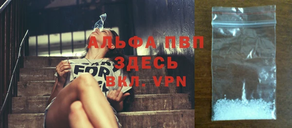 эйфоретик Дмитриев