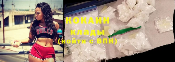 индика Дмитровск