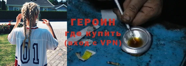 индика Дмитровск