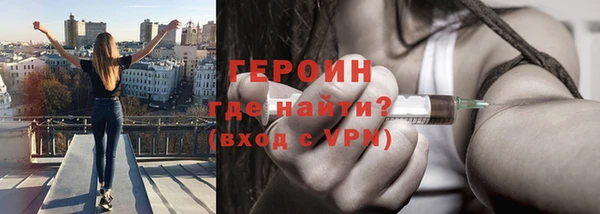 индика Дмитровск