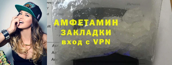 индика Дмитровск
