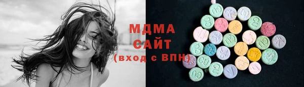 индика Дмитровск