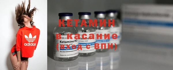 индика Дмитровск
