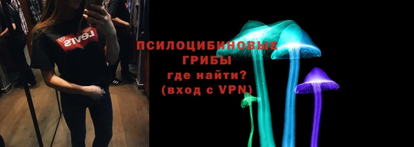 эйфоретик Дмитриев