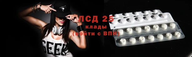индика Дмитровск