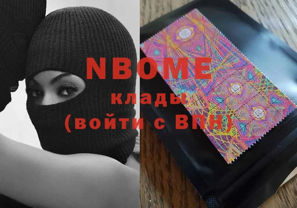 индика Дмитровск