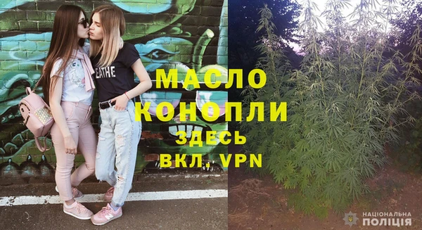 твердый Дмитров