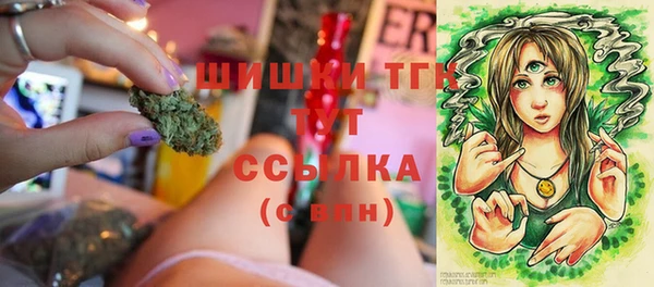 индика Дмитровск
