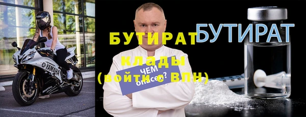 индика Дмитровск