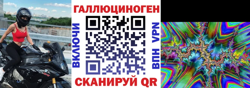 Купить  Нолинск  Галлюциногенные грибы Cubensis 
